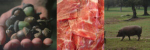 Elaboration process of the Iberian ham “Pata Negra”